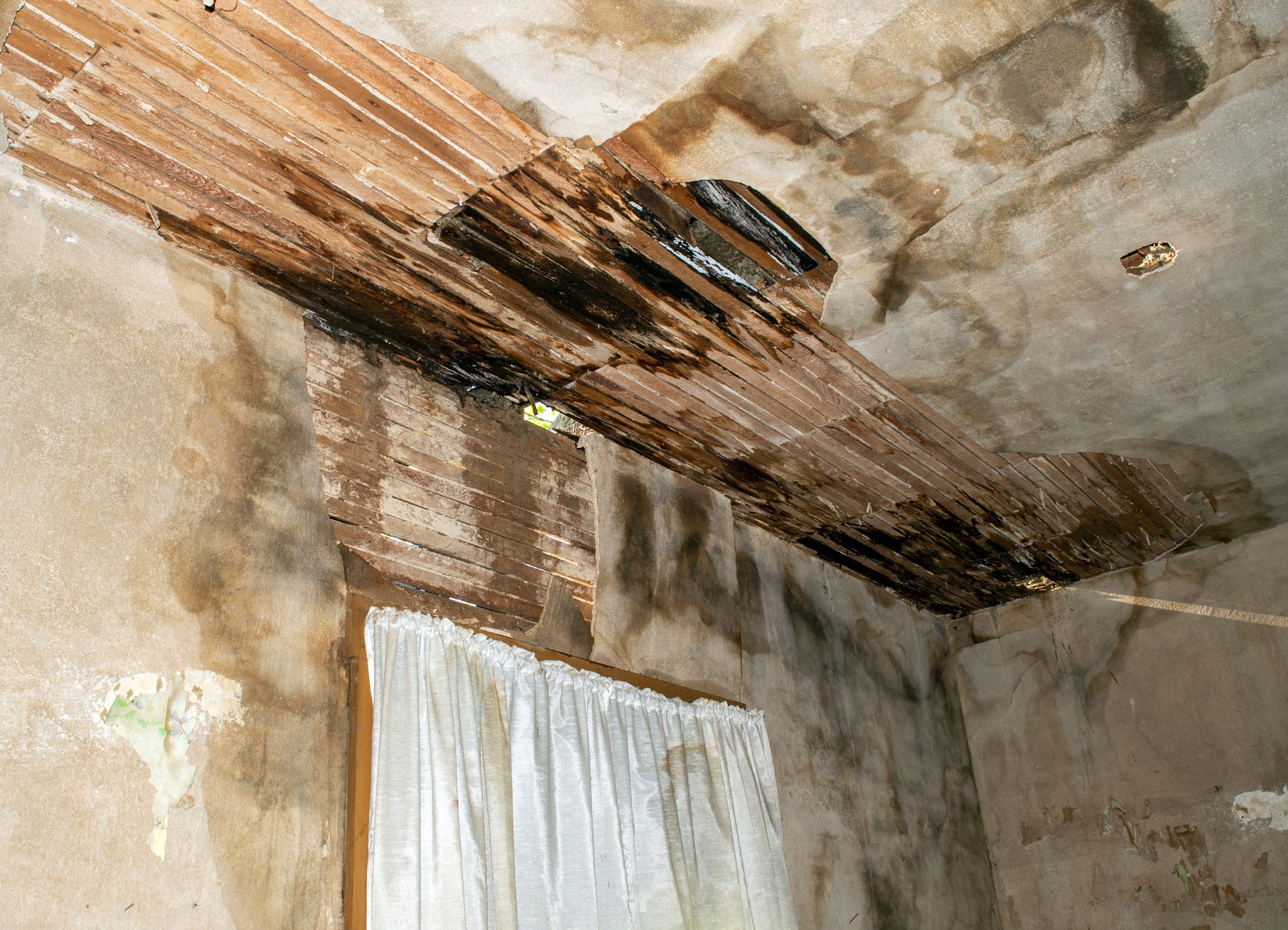 Rotting ceiling inside forgotten house